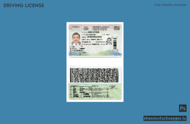 Beispiel für einen namibischen Führerschein